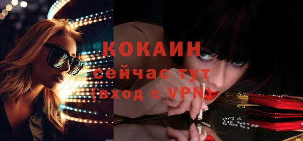 СК Тихвин
