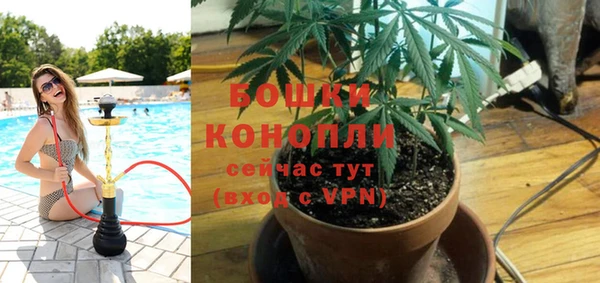 PSILOCYBIN Заволжск